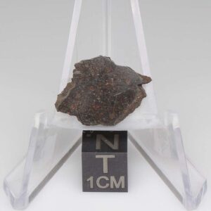 NWA 11721 Meteorite 1.5g