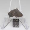 NWA 11721 Meteorite 1.3g