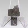 NWA 11721 Meteorite 1.6g