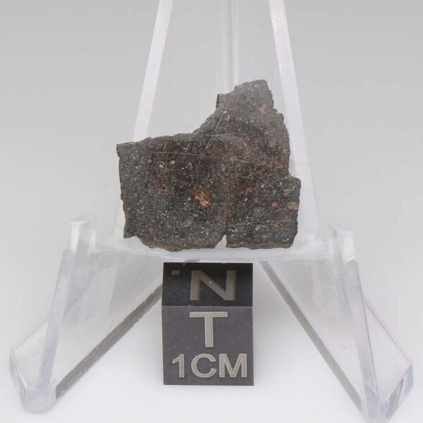 NWA 11721 Meteorite 1.6g