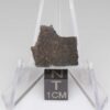 NWA 11721 Meteorite 1.9g