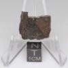 NWA 11721 Meteorite 2.5g