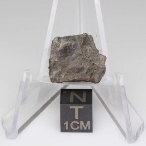 NWA 11721 Meteorite 2.5g