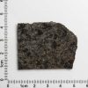 NWA 12594 (Paired) Martian Meteorite 10.04g