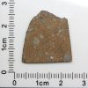 NWA 7489 Meteorite 2.0g