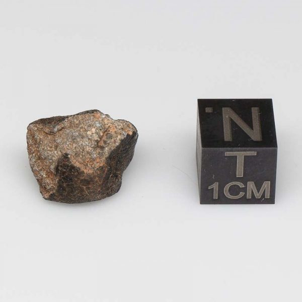 Camel Donga Meteorite 2.8g