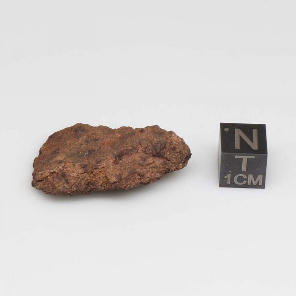 Dalgety Downs Meteorite 8.9g