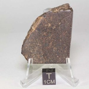 JaH 055 Meteorite 29.7g