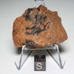 Millbillillie Meteorite 26.3g