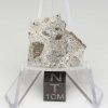 NWA 11899 Meteorite 2.48g