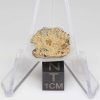 NWA 12927 Meteorite 1.79g