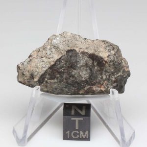 NWA 12932 Meteorite 13.3g End Cut