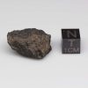 Nuevo Mercurio Meteorite 8.7g