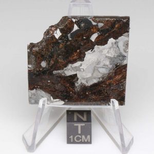 Seymchan Pallasite Meteorite 26.7g