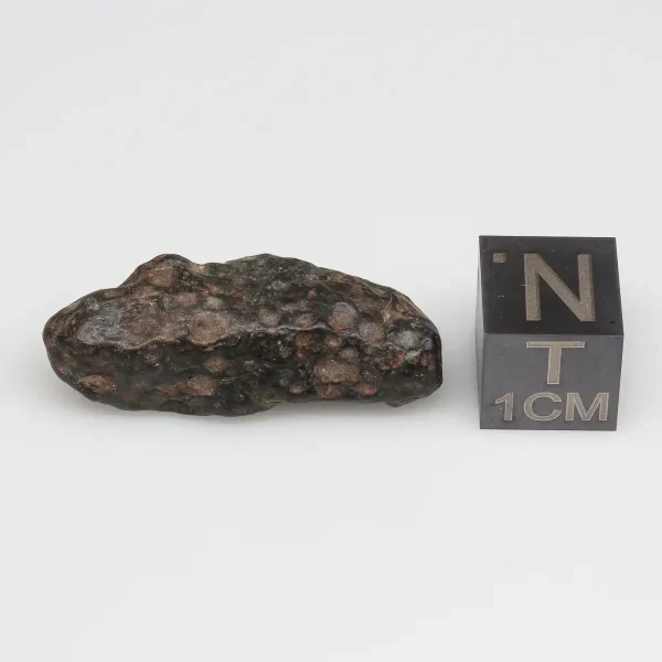 NWA 14316 CM2 Meteorite 4.8g