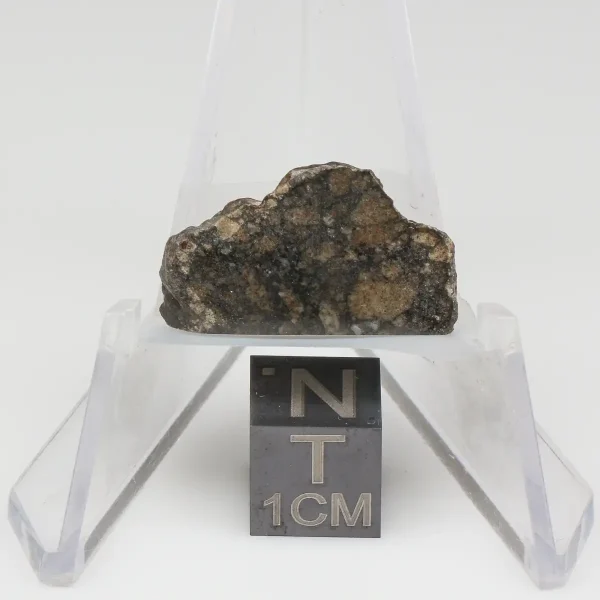 NWA 10964 Lunar Meteorite 2.25g