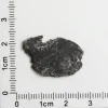 NWA 11788 Lunar Meteorite 1.06g