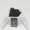 NWA 13758 Meteorite 1.6g