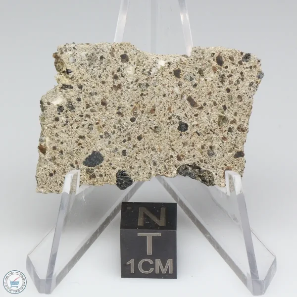 NWA 15339 Diogenite Meteorite 7.3g