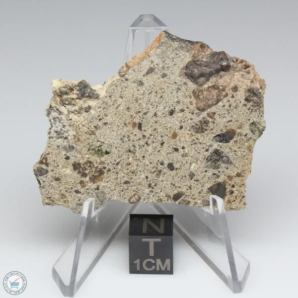 NWA 15339 Diogenite Meteorite 11.8g