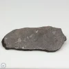 NWA 13790 Winonaite Meteorite 20.3g