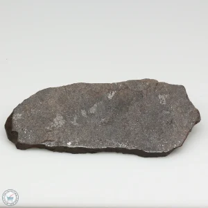 NWA 13790 Winonaite Meteorite 20.3g