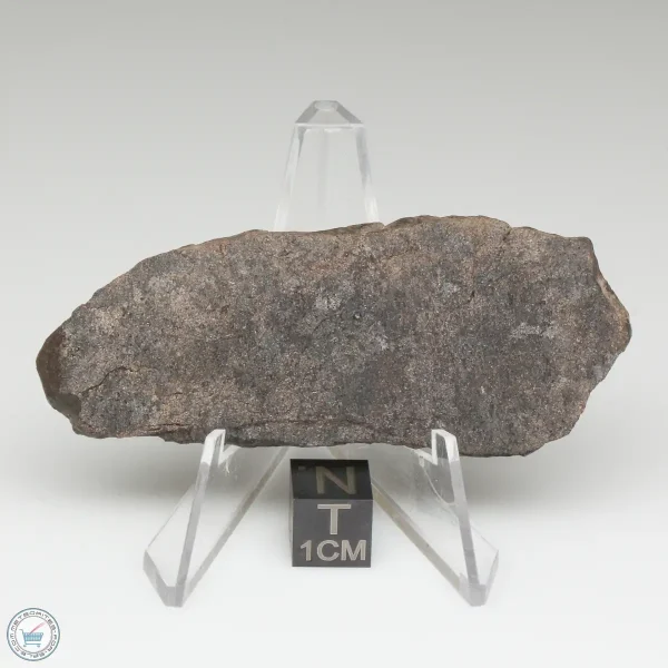 NWA 13790 Winonaite Meteorite 20.3g