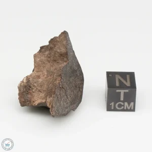 NWA 13790 Winonaite Meteorite 12.6g End Cut