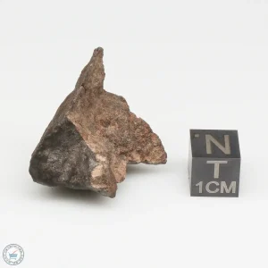 NWA 13790 Winonaite Meteorite 12.6g End Cut