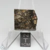 NWA 15656 Eucrite-pmict Meteorite 2.9g