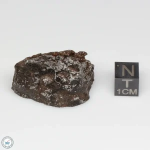 NWA 13790 Winonaite Meteorite 28.1g End Cut