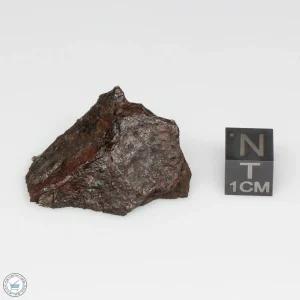 NWA 13790 Winonaite Meteorite 25.8g End Cut