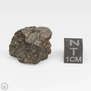 Premium Unclassified Meteorite 5.3g