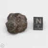 NWA 4482 Pallasite Meteorite 15.3g