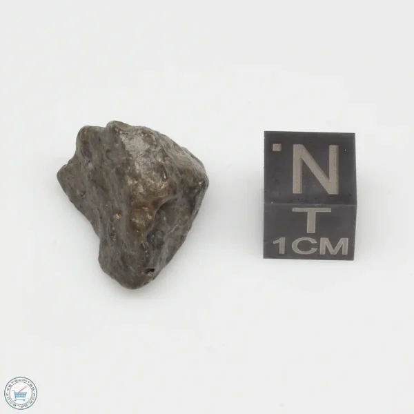 Laâyoune 002 Lunar Meteorite 4.31g Individual