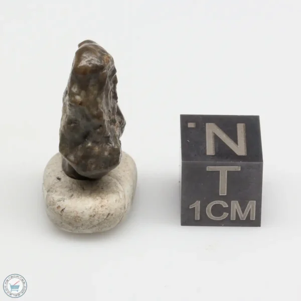 Laâyoune 002 Lunar Meteorite 2.56g Individual