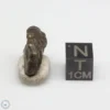 Laâyoune 002 Lunar Meteorite 2.56g Individual