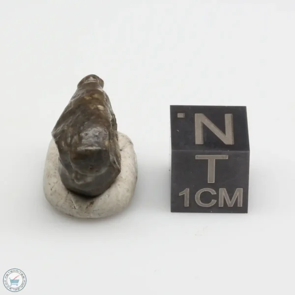 Laâyoune 002 Lunar Meteorite 2.56g Individual