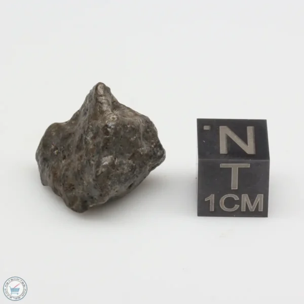 Laâyoune 002 Lunar Meteorite 4.31g Individual