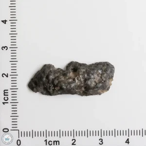 NWA 11474 Lunar Meteorite 3.02g End Cut