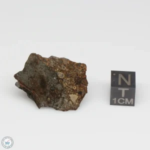 NWA 7676 Meteorite 10.0g End Cut