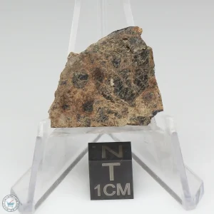 Taoudenni Meteorite 2.8g