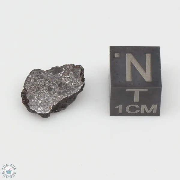 Vaca Muerta Meteorite 1.2g