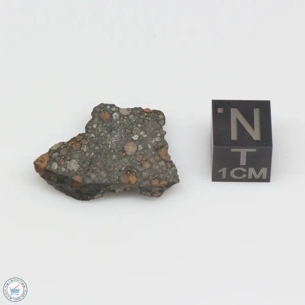 NWA 7454 Meteorite 3.0g End Cut