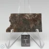 NWA 791 Meteorite 10.6g