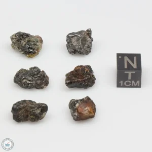 Admire Pallasite Meteorite Nugget Assortment 10.0g