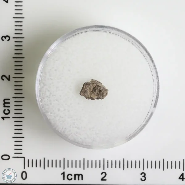 Grapevine Mesa Meteorite 0.09g