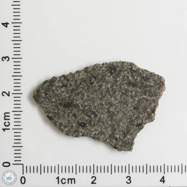 NWA 12262 Martian Meteorite 3.13g