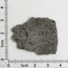 NWA 12262 Martian Meteorite 3.89g