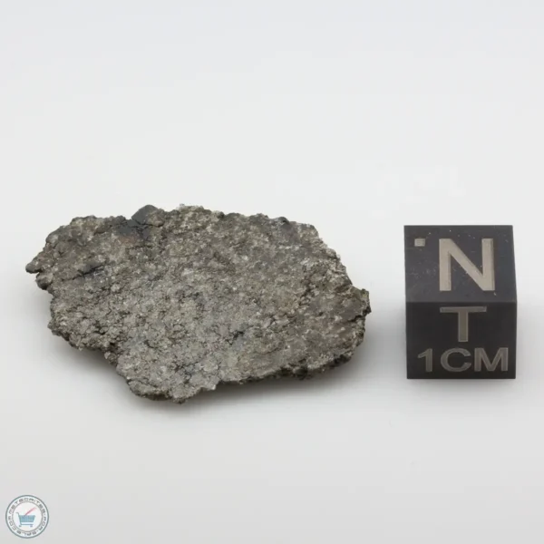 NWA 12262 Martian Meteorite 3.66g End Cut